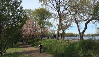 The 15 Best Places for Park in New York City