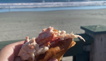 The 15 Best Places for Lobster Rolls in Newport