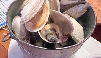 The 15 Best Places for Clams in Fort Lauderdale