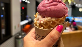 The 15 Best Ice Cream Parlors in Chicago