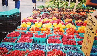 The 15 Best Places for Fresh Berries in New York City