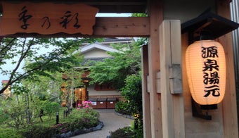 The 15 Best Hot Springs in Tokyo