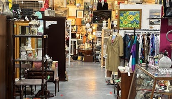 The 15 Best Furniture and Home Stores in San Diego