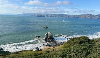 The 15 Best Hiking Trails in San Francisco