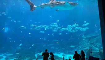 The 13 Best Places for Aquariums in Atlanta