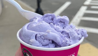 The 15 Best Ice Cream Parlors in Boston