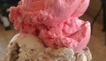 The 15 Best Places for Vanilla Ice Cream in Plano