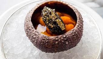 The 13 Best Places for Sea Urchin in Hong Kong