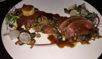 The 15 Best Places for Wild Mushrooms in Boston