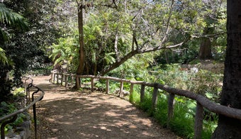 The 15 Best Hiking Trails in Los Angeles