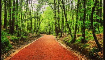 The 15 Best Hiking Trails in Istanbul