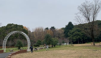 The 15 Best Places for Picnics in Tokyo