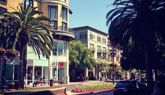 The 11 Best Places for People Watching in San Jose