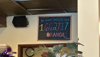 The 15 Best Places for Orange Juice in Denver