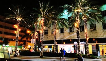 The 15 Best Places for Malls in Miami Beach