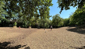 The 15 Best Places for Dog Park in Brooklyn