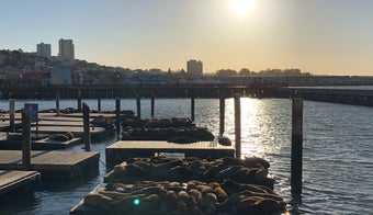 The 15 Best Places for Piers in San Francisco