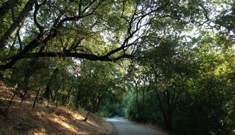 The 15 Best Trails in San Jose