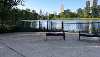 The 15 Best Places for Ponds in Chicago