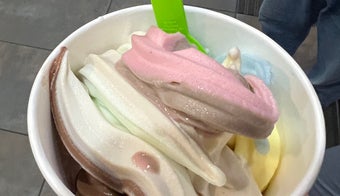 The 13 Best Places for Frozen Yogurt in San Jose