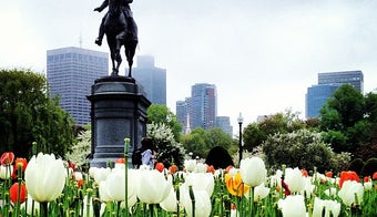 The 15 Best Places with Gardens in Boston