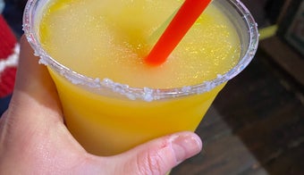The 15 Best Places for Mango in Lubbock