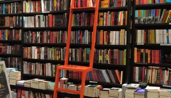 The 15 Best Bookstores in Rio De Janeiro
