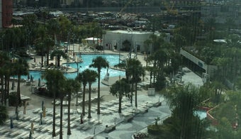 The 11 Best Resorts in Orlando