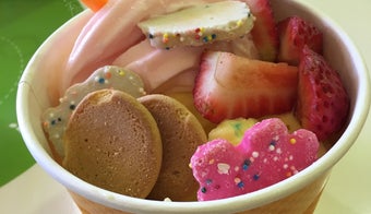 The 15 Best Places for Sorbet in San Antonio