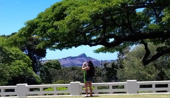 The 15 Best Places with Gardens in Honolulu