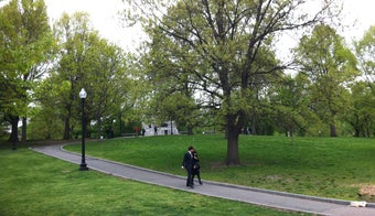 The 15 Best Places for Park in Boston