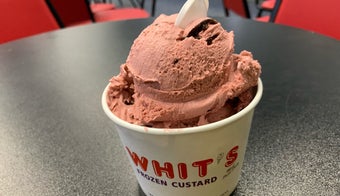 The 15 Best Places for Custard in Jacksonville