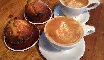 The 15 Best Places for Espresso in Fort Lauderdale