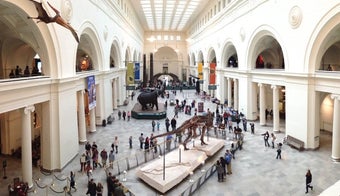 The 13 Best History Museums in Chicago