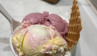 The 15 Best Ice Cream Parlors in Washington