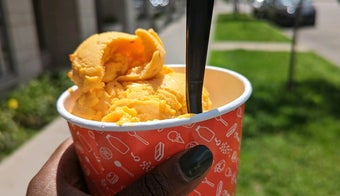 The 15 Best Places for Sorbet in Minneapolis