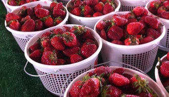 The 15 Best Places for Fresh Fruit in Raleigh