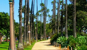 The 11 Best Places for Picnics in Santa Monica