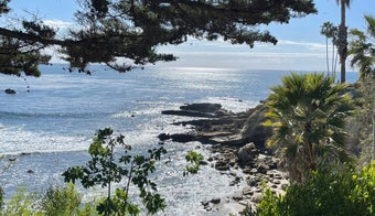 The 15 Best Places for Park in Laguna Beach