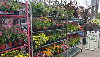 The 15 Best Flower Stores in Brooklyn