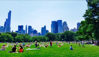 The 15 Best Places for Sunbathing in New York City