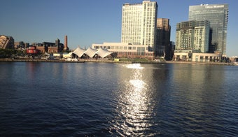 The 9 Best Places for Mahi Mahi in Baltimore