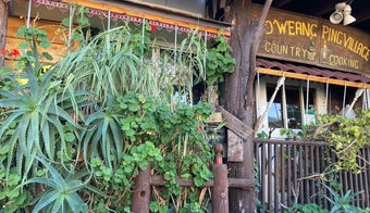 The 15 Best Thai Restaurants in Oakland
