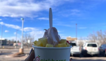 The 11 Best Places for Frozen Yogurt in Denver