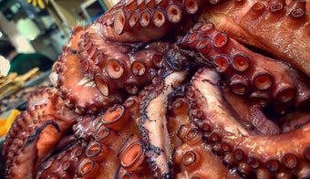 The 15 Best Places for Octopus in Barcelona