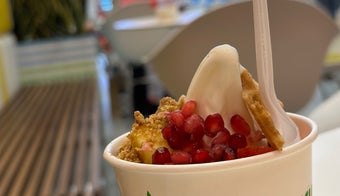 The 15 Best Places for Frozen Yogurt in Dubai
