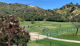 The 15 Best Places for Dog Park in Los Angeles