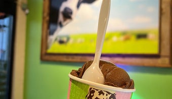 The 9 Best Ice Cream Parlors in Tucson