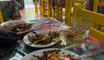 The 15 Best Places for Vegetarian Food in Puerto Vallarta