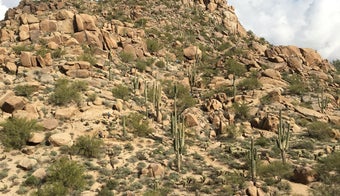 The 15 Best Places for Mountains in Scottsdale